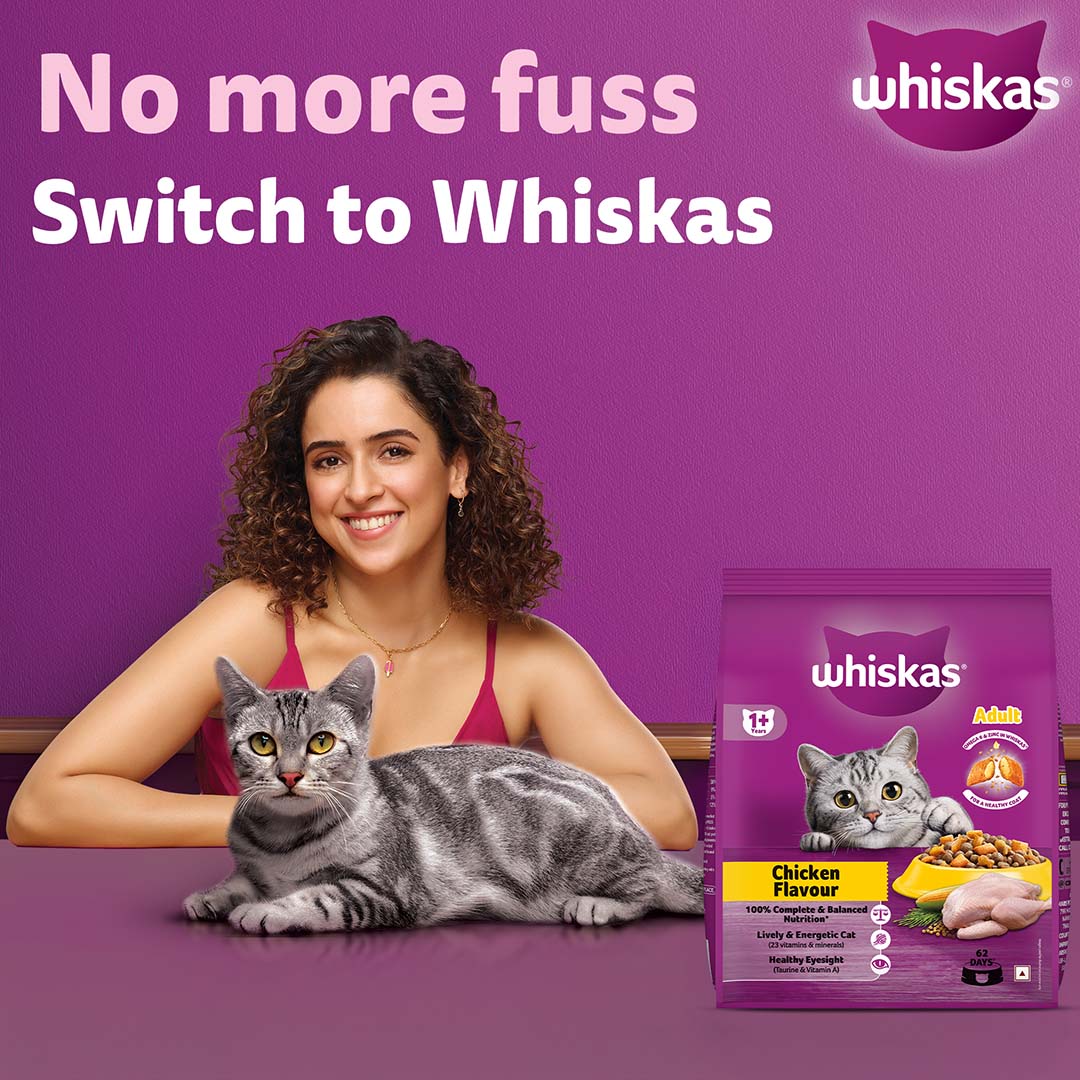 Whiskas Adult (+1 year) Dry Cat Food Food, Chicken Flavour, 1.2kg Pack