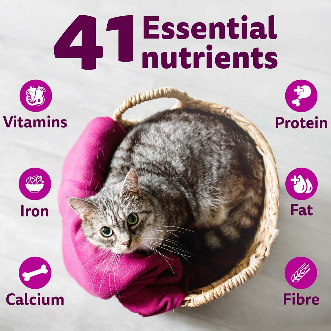 Whiskas Adult (+1 year) Dry Cat Food Food, Chicken Flavour, 1.2kg Pack