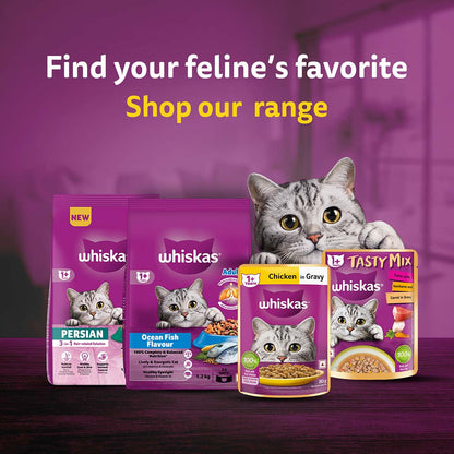 Whiskas Adult (+1 year) Dry Cat Food Food, Ocean Fish Flavour, 1.2kg Pack