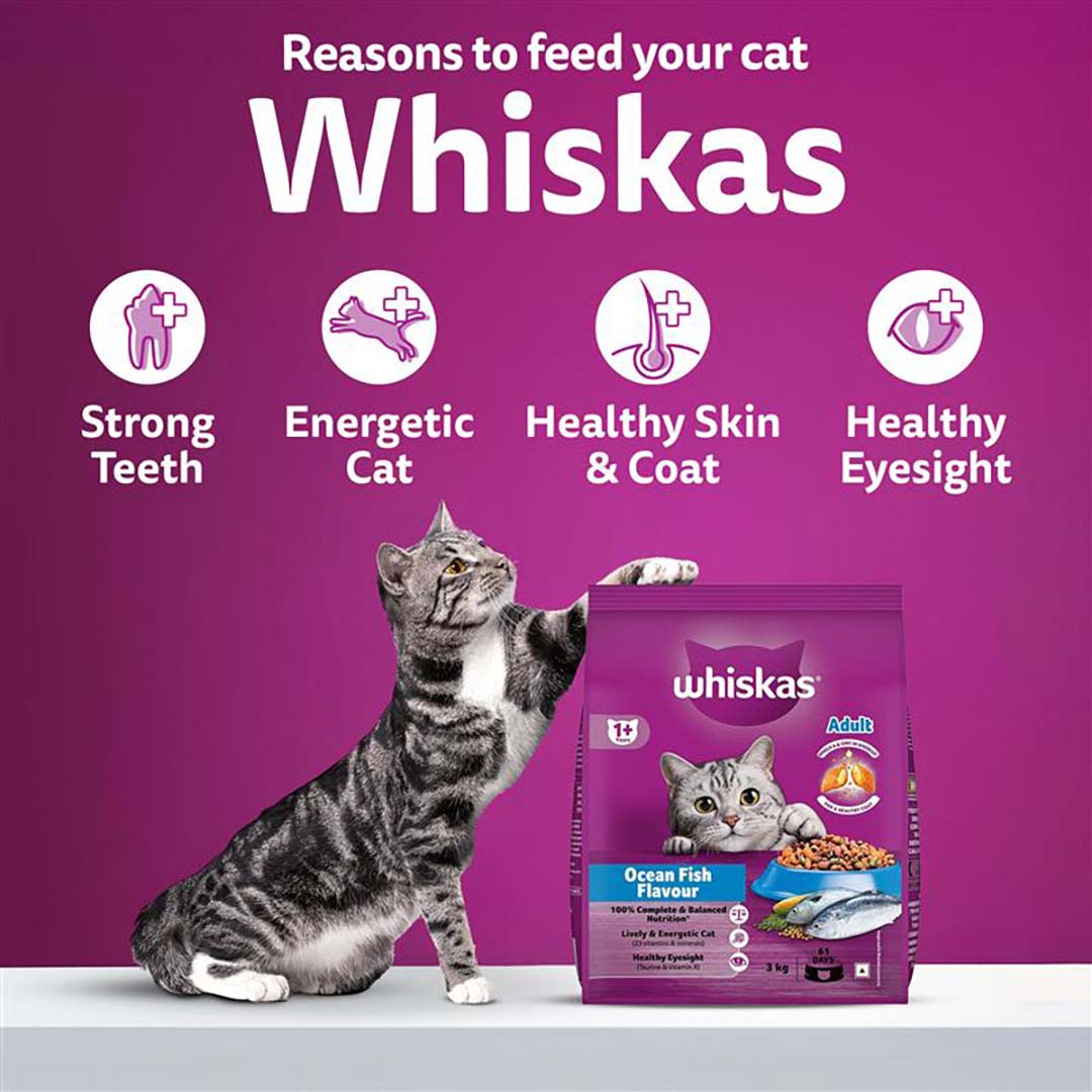 Whiskas Adult (+1 year) Dry Cat Food Food, Ocean Fish Flavour, 1.2kg Pack