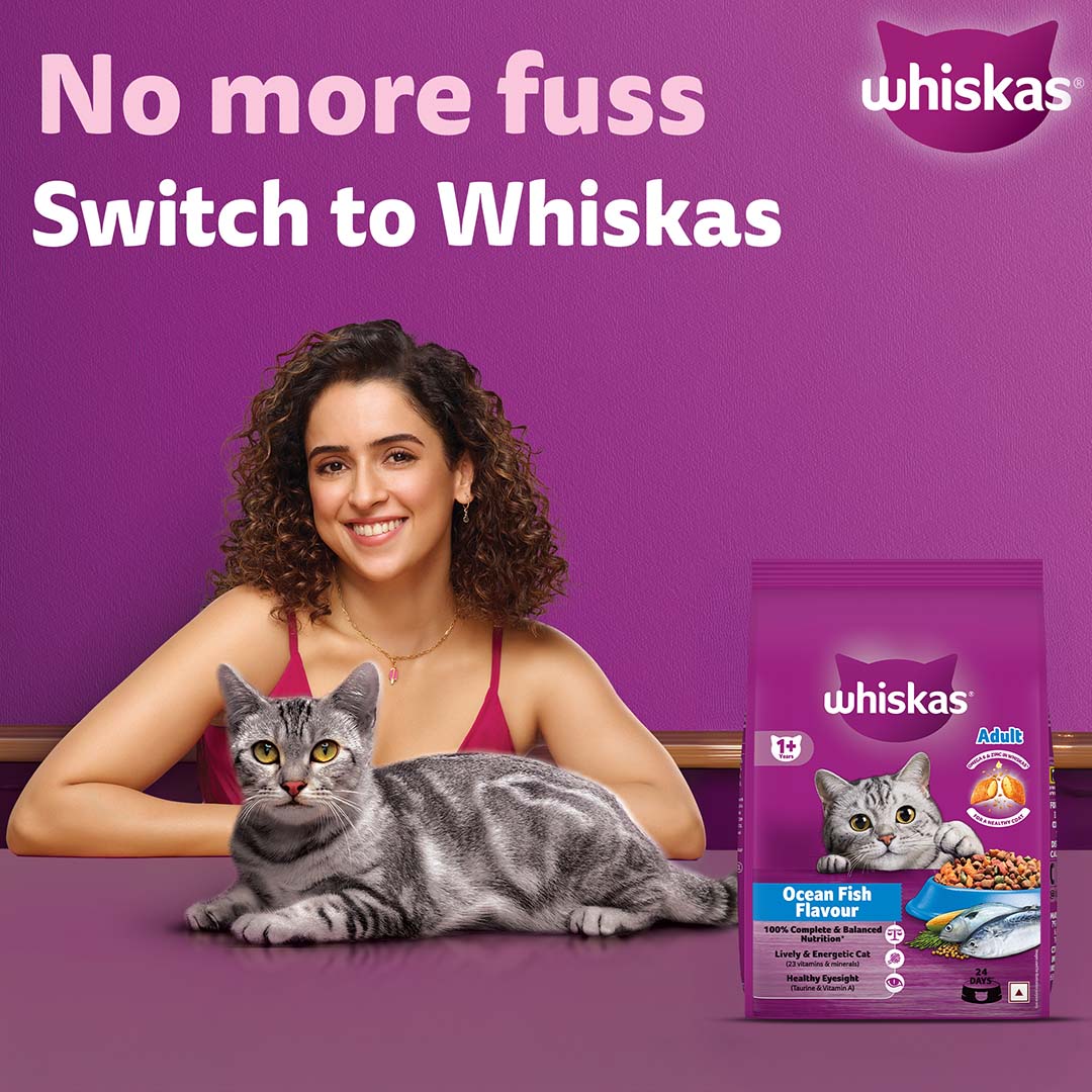 Whiskas Adult (+1 year) Dry Cat Food Food, Ocean Fish Flavour, 3kg Pack
