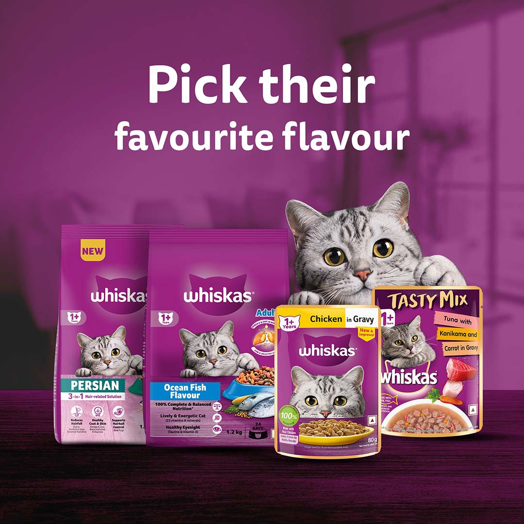 Whiskas Adult (+1 year) Dry Cat Food Food, Ocean Fish Flavour, 3kg Pack