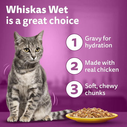 Whiskas Adult (1+ year) Wet Cat Food, Ocean Fish Flavor, 80g | Complete & Balanced Food for Adult Cats