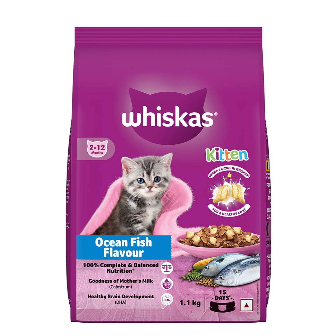 Whiskas Kitten (2-12 months) Dry Cat Food Food, Ocean Fish, 1.1kg Pack