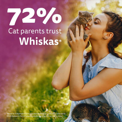 Whiskas Kitten (2-12 months) Dry Cat Food Food, Ocean Fish, 1.1kg Pack