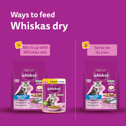 Whiskas Kitten (2-12 months) Dry Cat Food Food, Ocean Fish, 1.1kg Pack