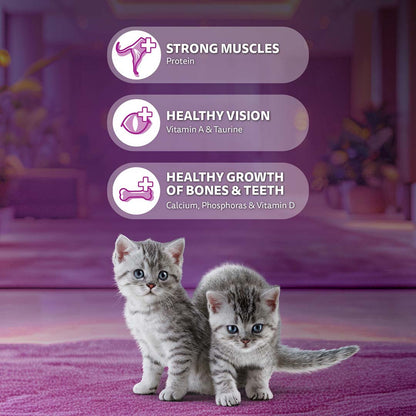 Whiskas Kitten (2-12 months) Dry Cat Food Food, Ocean Fish, 1.1kg Pack