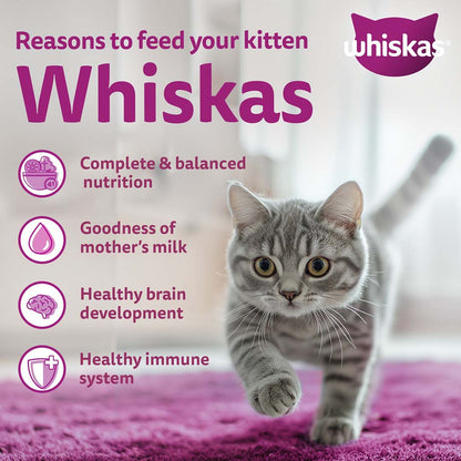 Whiskas Kitten (2-12 months) Dry Cat Food Food, Ocean Fish, 1.1kg Pack