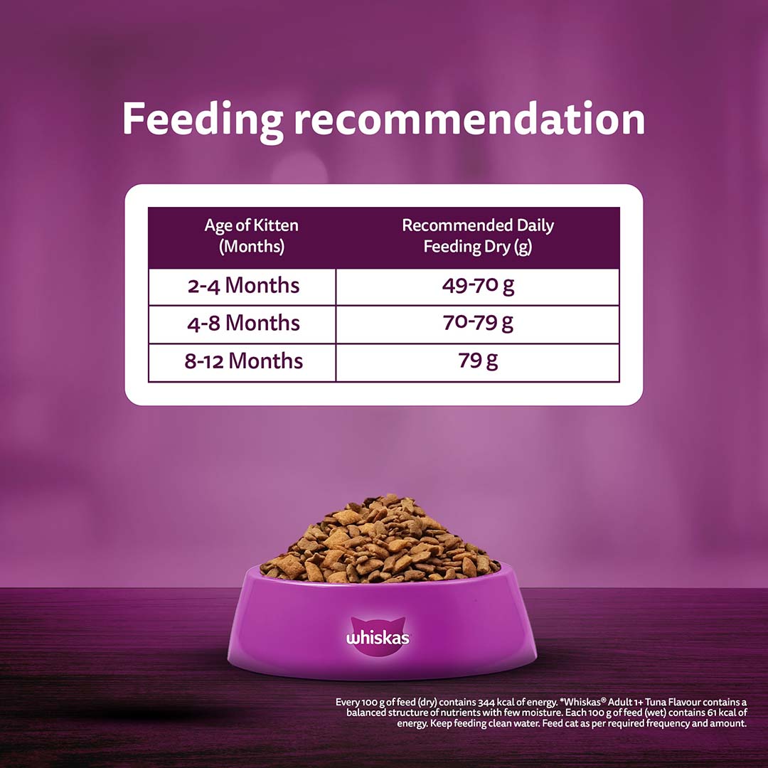 Whiskas Kitten (2-12 months) Dry Cat Food, Ocean Fish Flavour with Milk, 3kg Pack