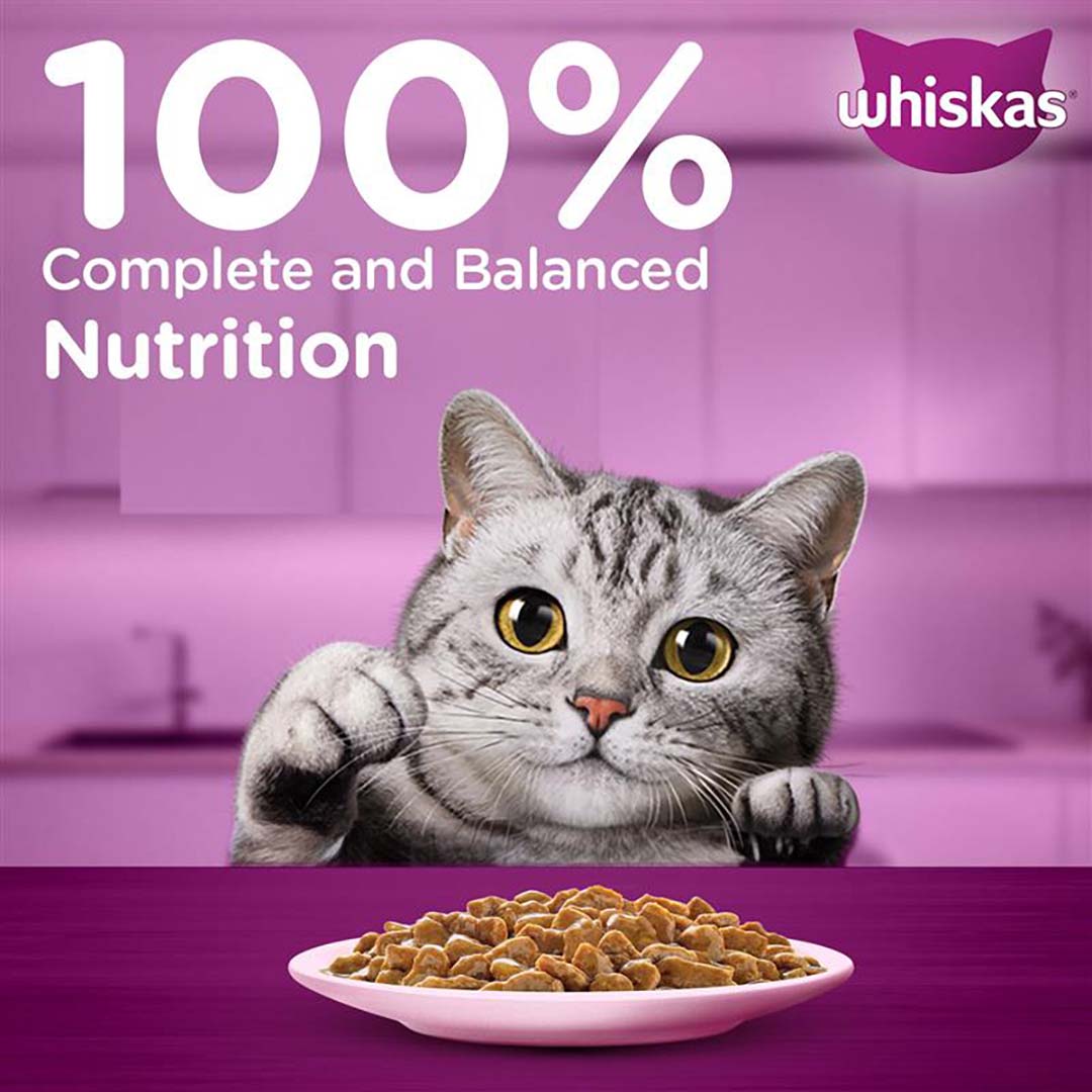 Whiskas Wet Cat Food for Adult Cats (1+Years), Salmon in Gravy Flavour,  80g