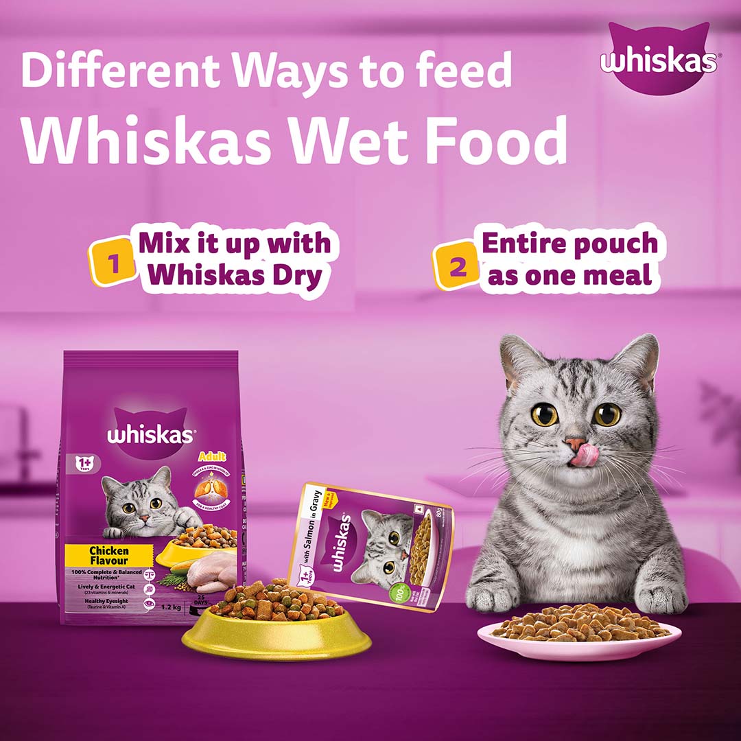 Whiskas Wet Cat Food for Adult Cats (1+Years), Salmon in Gravy Flavour,  80g