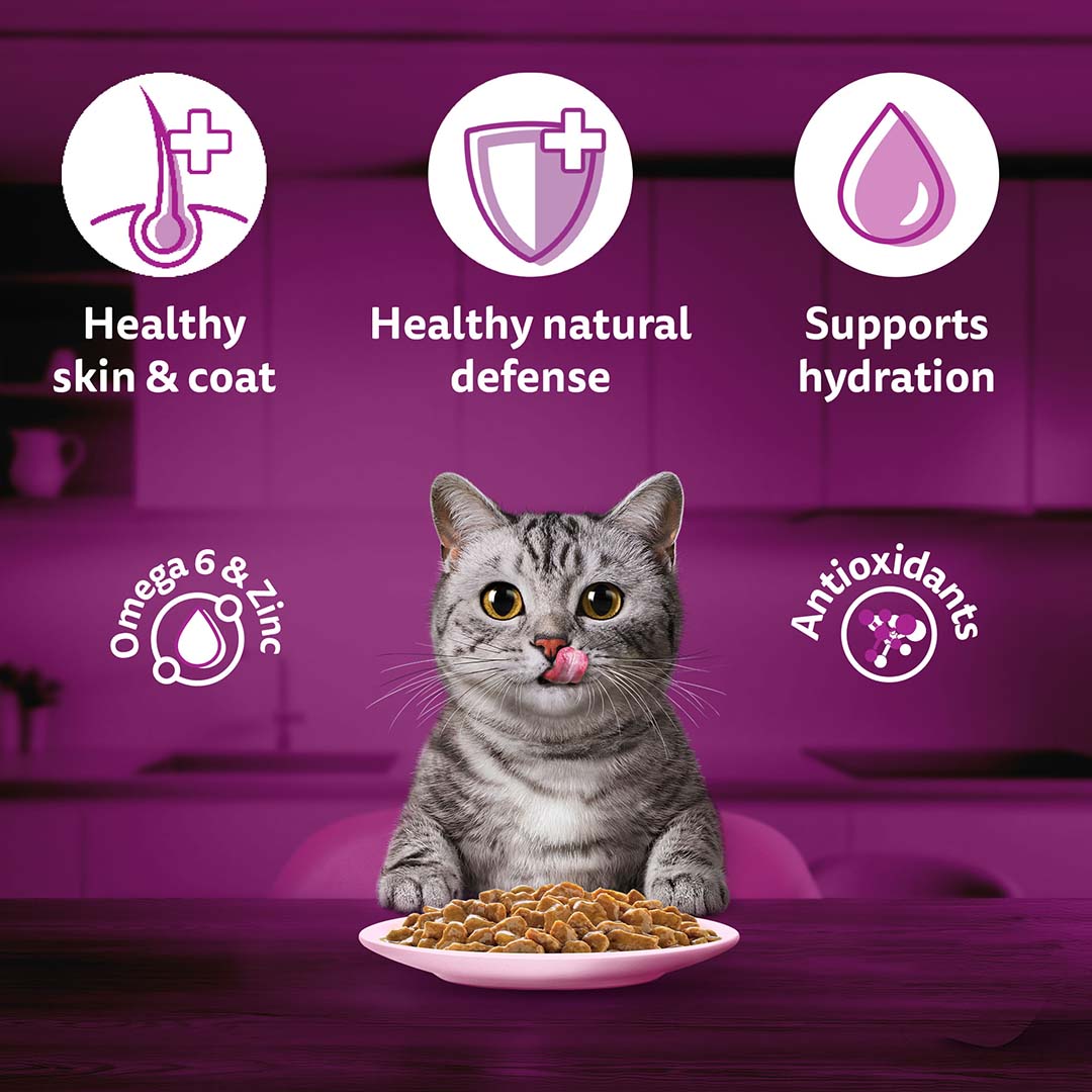Whiskas Wet Cat Food for Adult Cats (1+Years), Salmon in Gravy Flavour,  80g