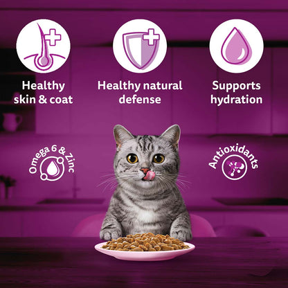 Whiskas Wet Cat Food for Adult Cats (1+Years), Salmon in Gravy Flavour,  80g