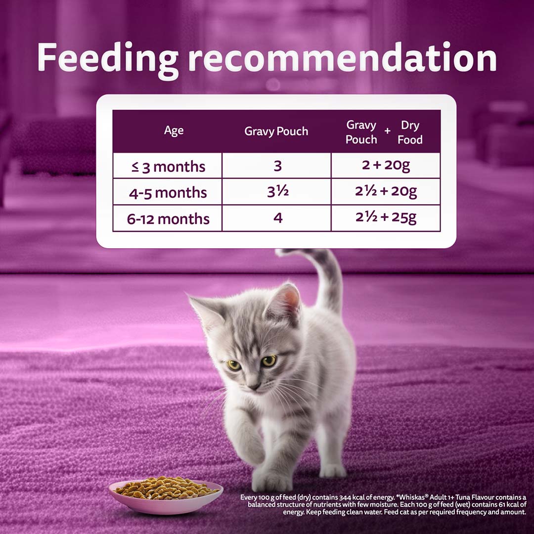Whiskas Wet Cat Food for Kittens (2-12 Months), Chicken in Gravy Flavour,  80g