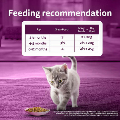 Whiskas Wet Cat Food for Kittens (2-12 Months), Chicken in Gravy Flavour,  80g