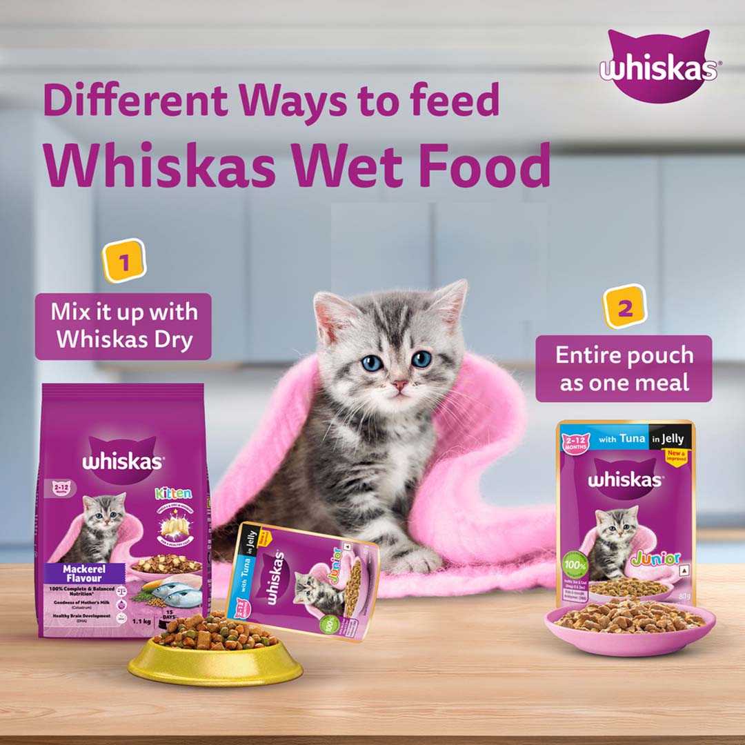 Whiskas Wet Cat Food for Kittens (2-12 Months), Chicken in Gravy Flavour,  80g