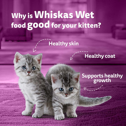 Whiskas Wet Cat Food for Kittens (2-12 Months), Chicken in Gravy Flavour,  80g