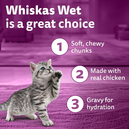 Whiskas Wet Cat Food for Kittens (2-12 Months), Chicken in Gravy Flavour,  80g