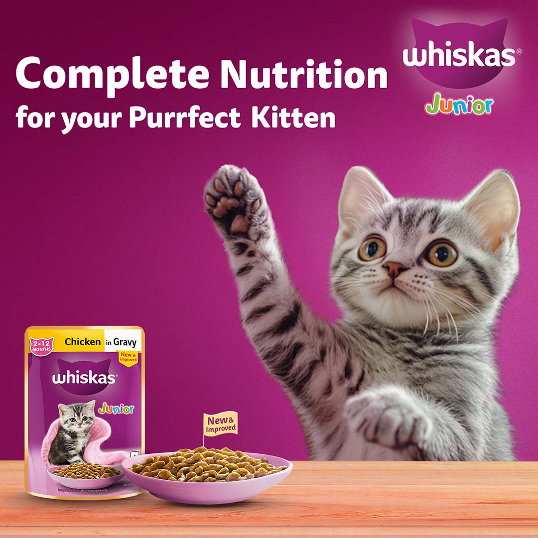 Whiskas Wet Cat Food for Kittens (2-12 Months), Chicken in Gravy Flavour,  80g