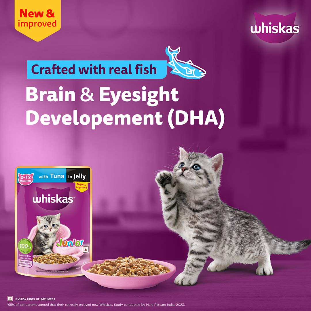 Whiskas Wet Cat Food for Kittens (2-12 Months), Tuna in Jelly Flavour,  80g