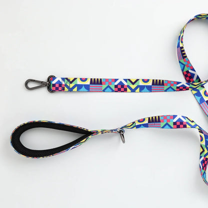 Zazu & Co Printed Webbing Leashes